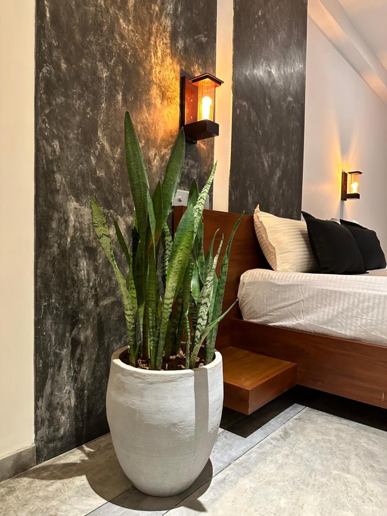 Ami Mirissa Hotel Eksteriør billede